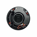 littora_1000_icw8_dos.webp